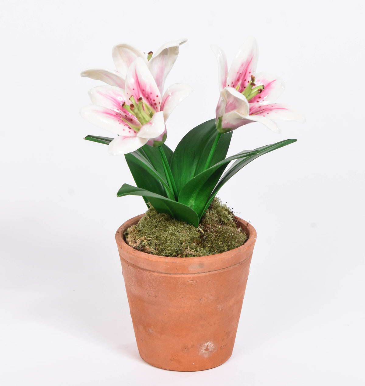 White and Pink Lilies