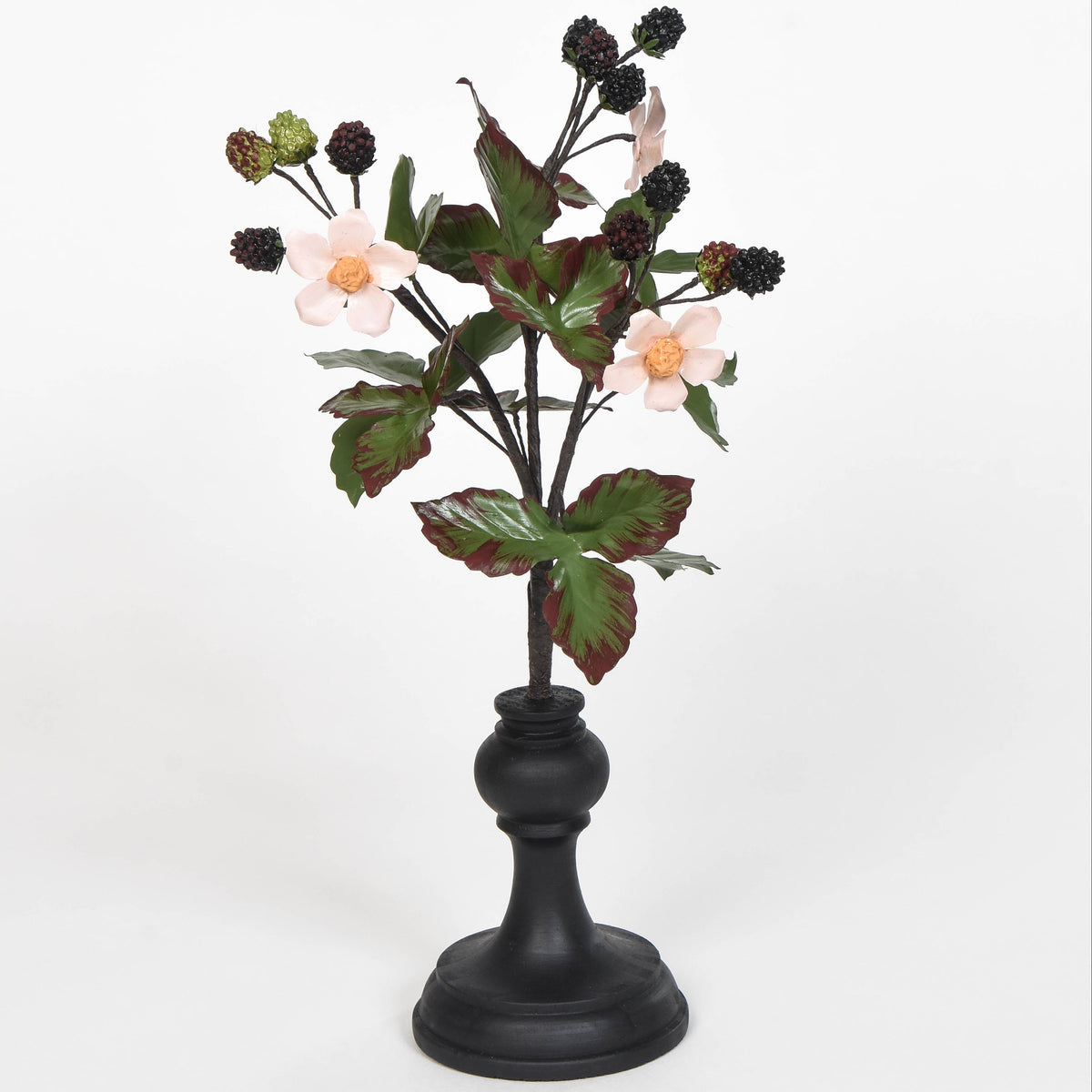 Botanical Blackberry Specimen