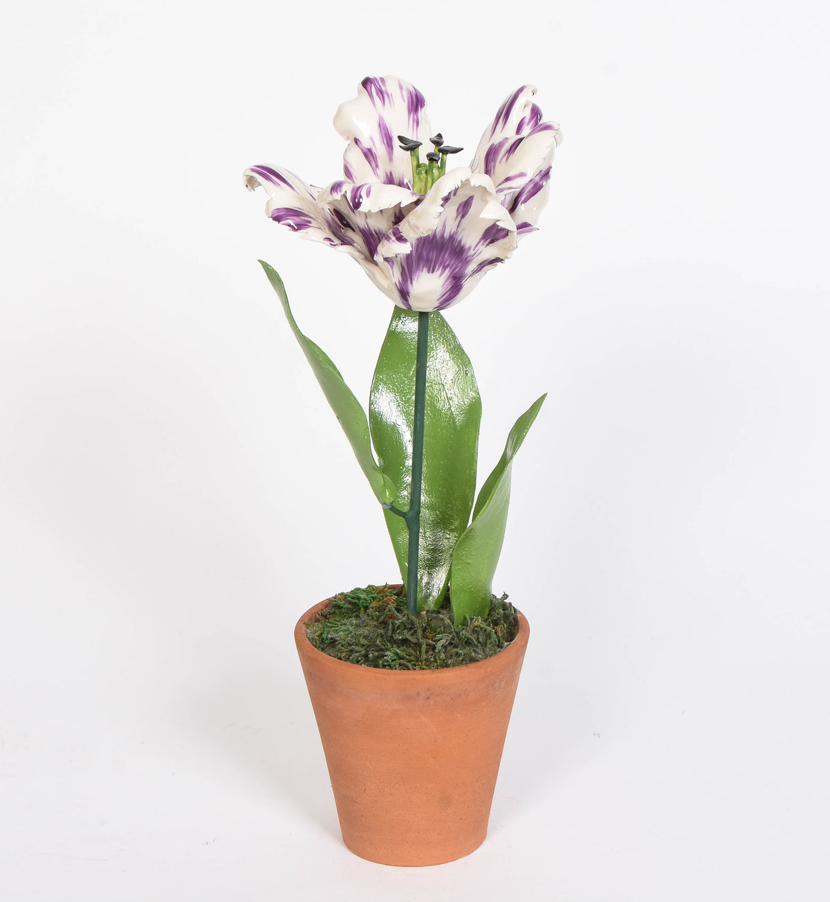 Porcelain Open Tulips