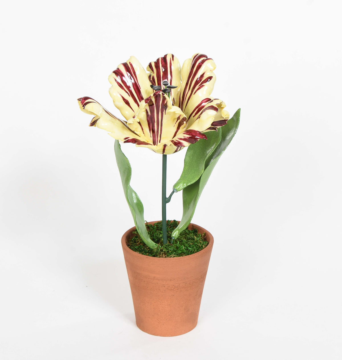 Porcelain Open Tulips