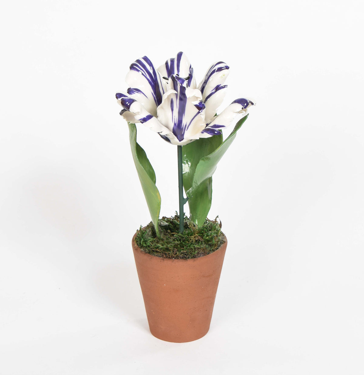 Porcelain Open Tulips