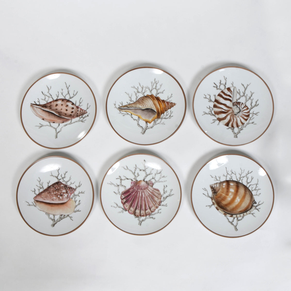 Shell Dessert Plates