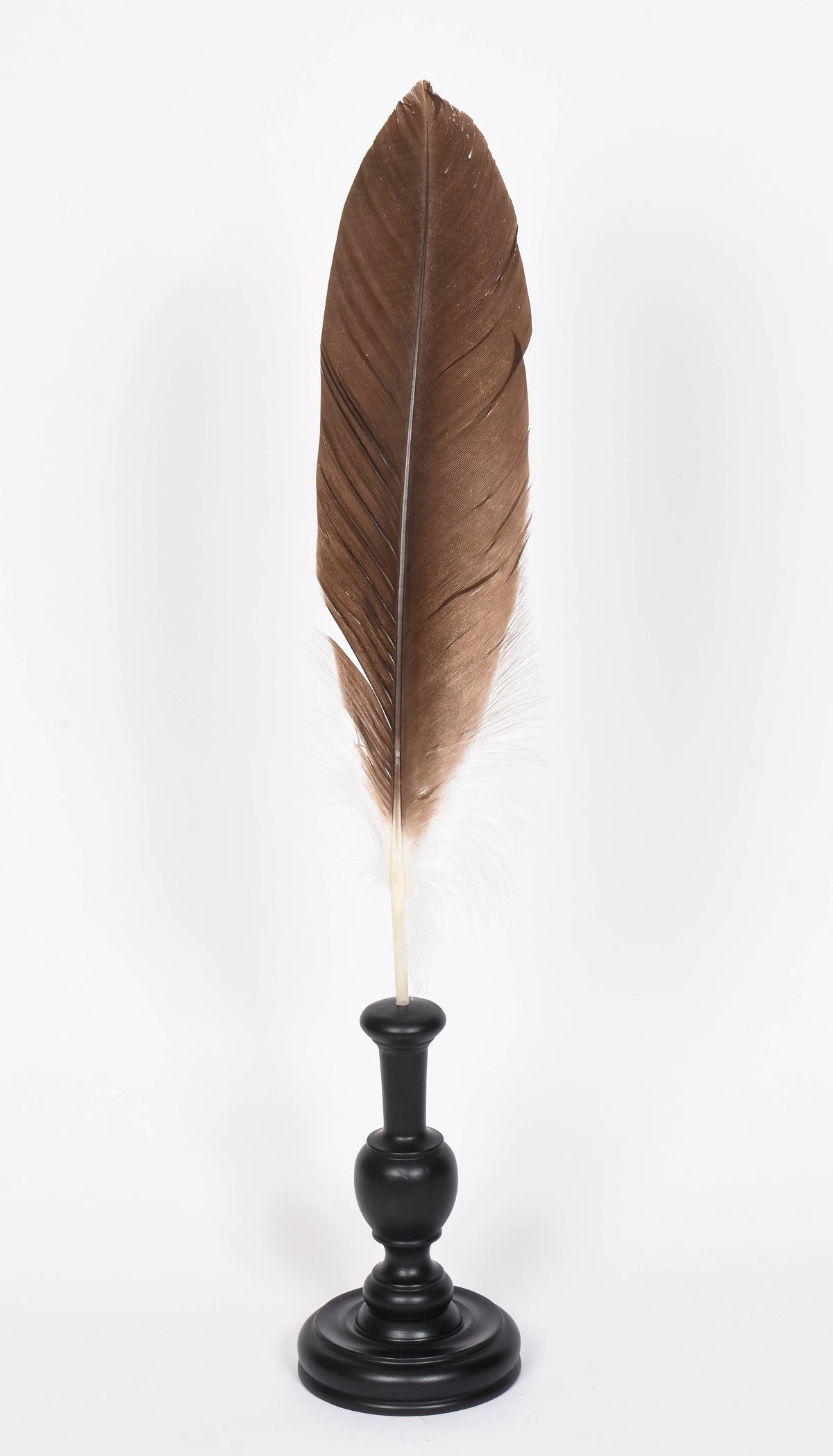 Assorted Feathers