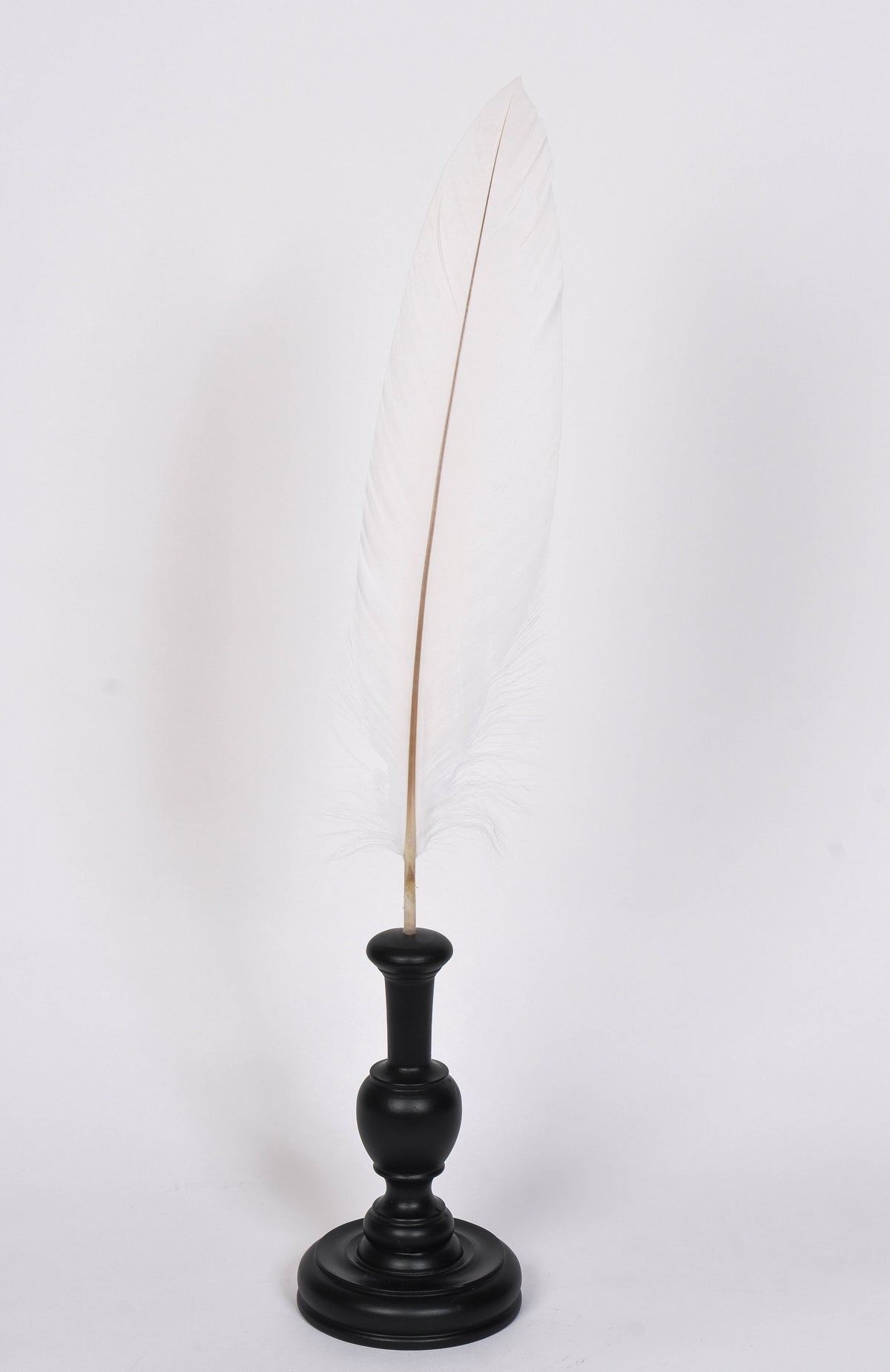 Assorted Feathers