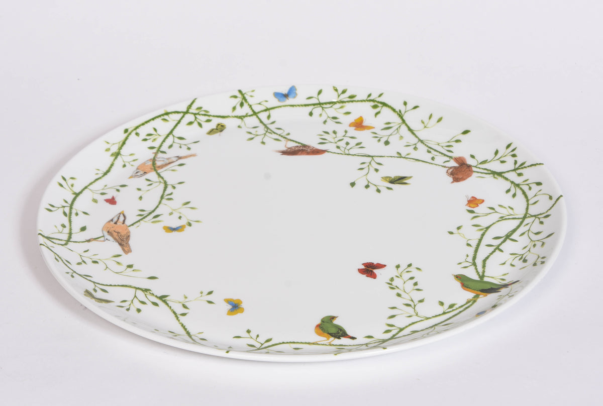 Histoire Naturelle Collection