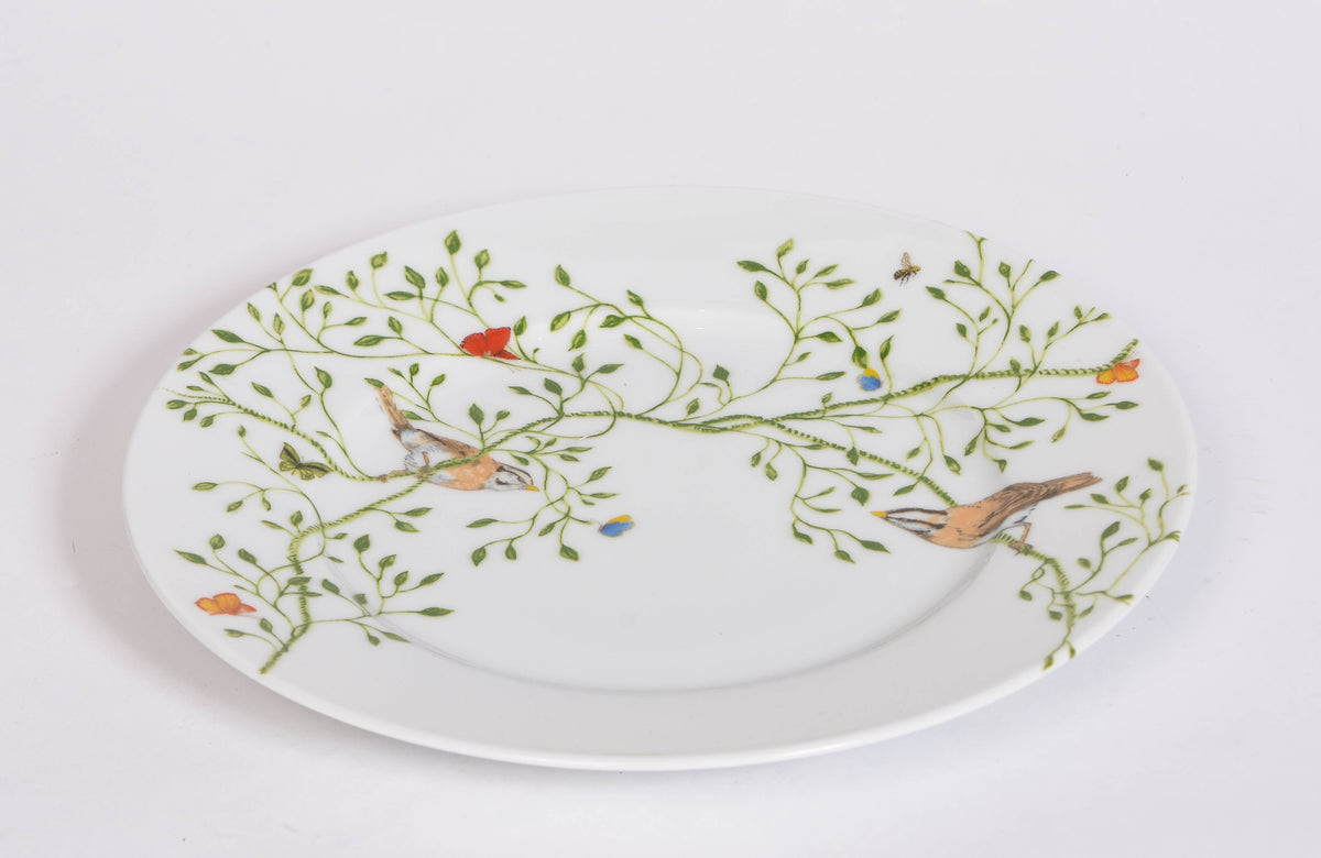 Histoire Naturelle Collection